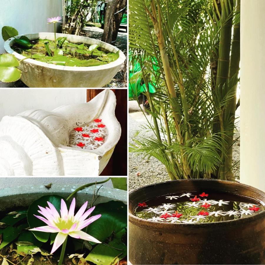 Rituale Guest House - Surf & Yoga Mirissa Zewnętrze zdjęcie